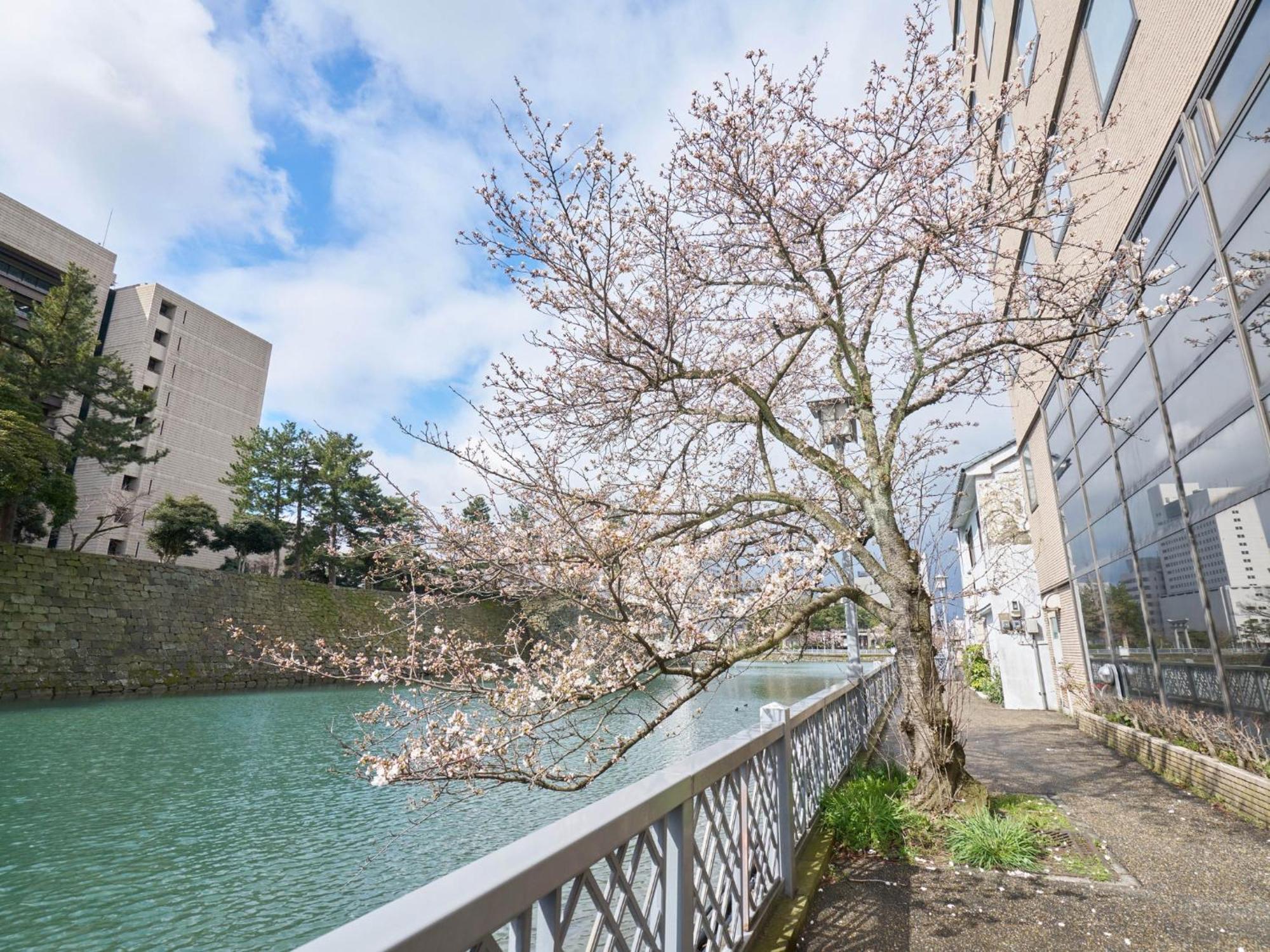Hotel Fukui Castle - Vacation Stay 58696V 외부 사진