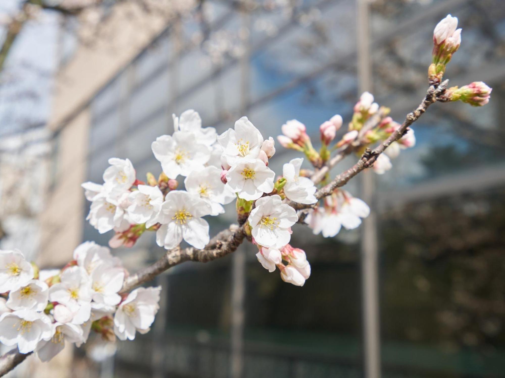 Hotel Fukui Castle - Vacation Stay 58696V 외부 사진