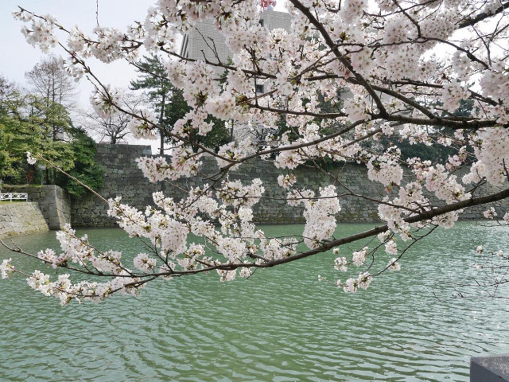 Hotel Fukui Castle - Vacation Stay 58696V 외부 사진