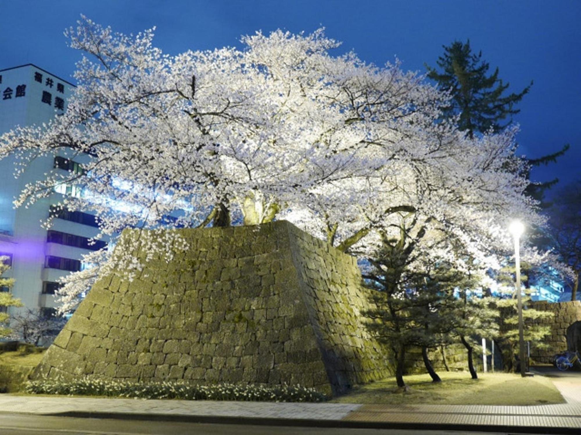 Hotel Fukui Castle - Vacation Stay 58696V 외부 사진