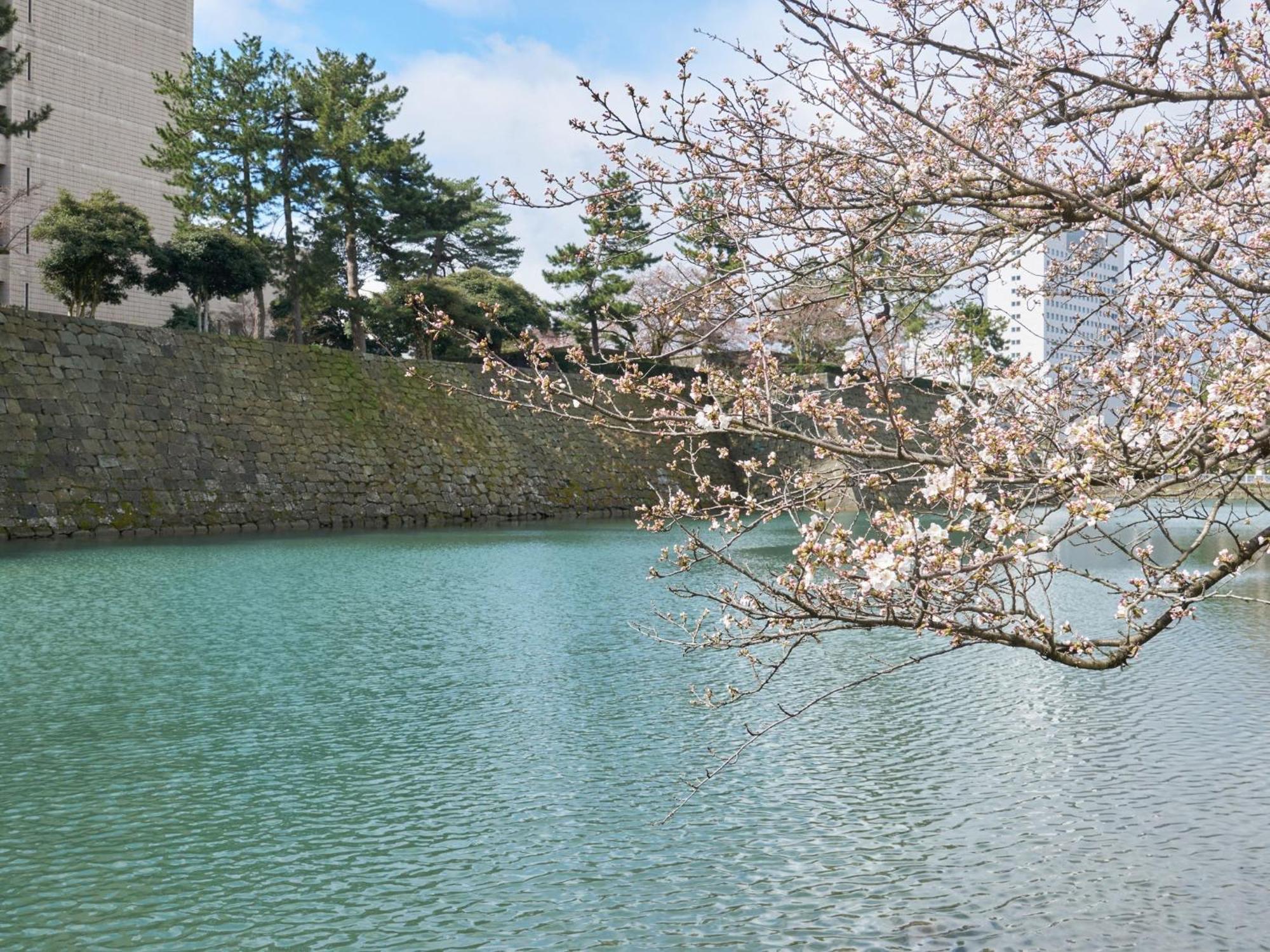 Hotel Fukui Castle - Vacation Stay 58696V 외부 사진